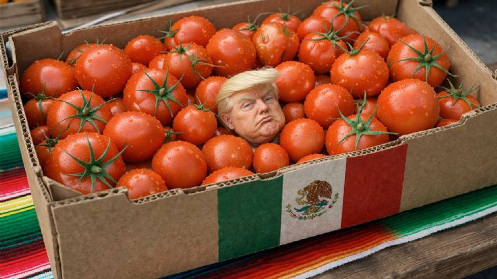 ¿Culpa de Donald Trump? La razón por la que el tomate se vende hasta en 50 pesos en la frontera