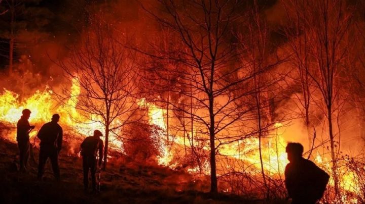 Incendios en México: 26 focos activos y comunidades al borde de la emergencia; ¿qué estados están en riesgo?
