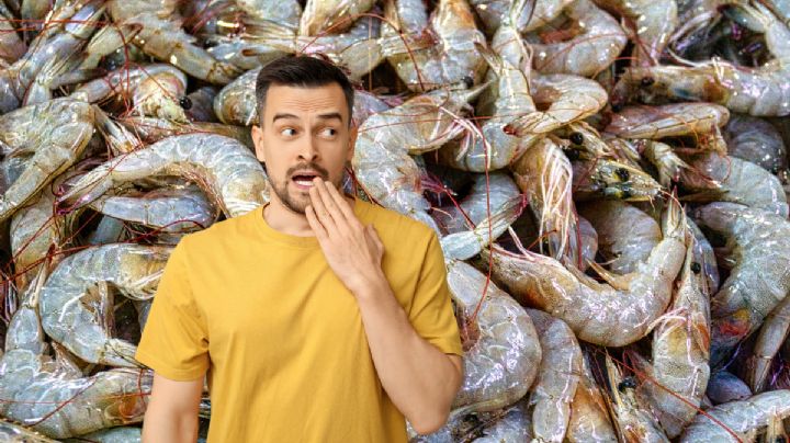 San Luis Potosí lanza alerta sanitaria por mariscos; temen productos contaminados en Semana Santa