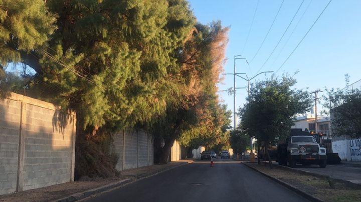 Sensación térmica en Nuevo Laredo varía por entorno urbano, árboles y tipo de construcciones