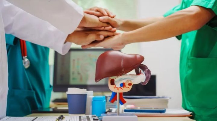 Riñón e hígado lideran trasplantes en 2026; 80 intervenciones realizadas en lo que va del año