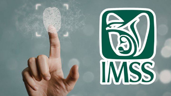 ¿IMSS pedirá CURP biométrica para trámites en 2026?; estos son los casos en los que podrían solicitártela