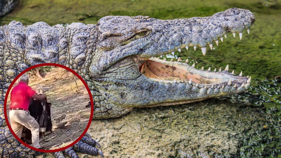 Capturan ‘Juancho’ de casi tres metros en Tampico