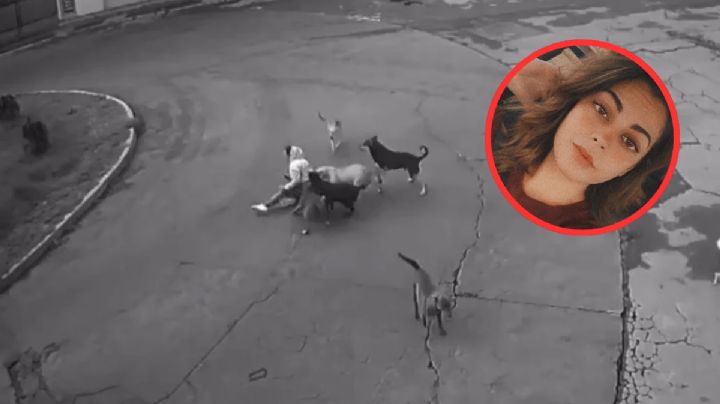 Mujer pierde la vida defendiendo a su hijo de 5 años del brutal ataque de tres perros