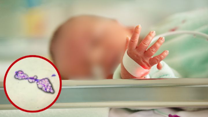 Sífilis congénita pone en alerta a autoridades en Laredo; Webb aparece entre los condados con más casos