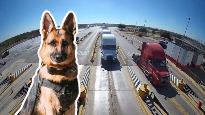 CBP asegura 129 libras de ‘polvo blanco’ en frontera con Nuevo León; cargamento es valuado en 1.7 MDD