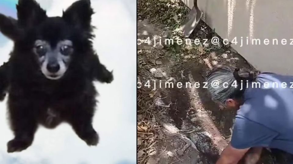 Flor “N”, señalada por el caso de la perrita Moni, obtuvo su libertad tras aceptar la reparación del daño