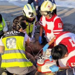 Vacaciones de Semana Santa dejan primer fallecido en Tamaulipas; hombre murió tras entrar al mar en Altamira