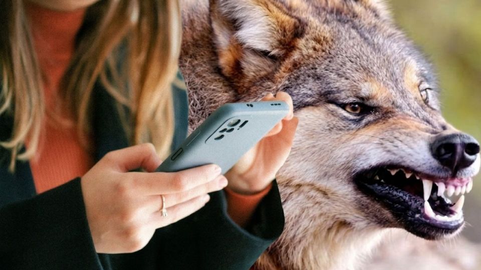 El incidente ocurrió en un zoológico que forma parte de un concurrido parque temático en Estados Unidos