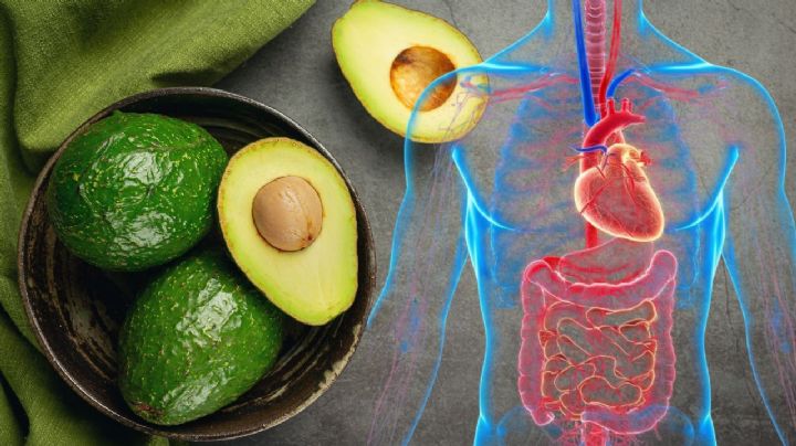 El aguacate es ‘oro verde’ en tu dieta: Estos son los beneficios para el corazón y la digestión