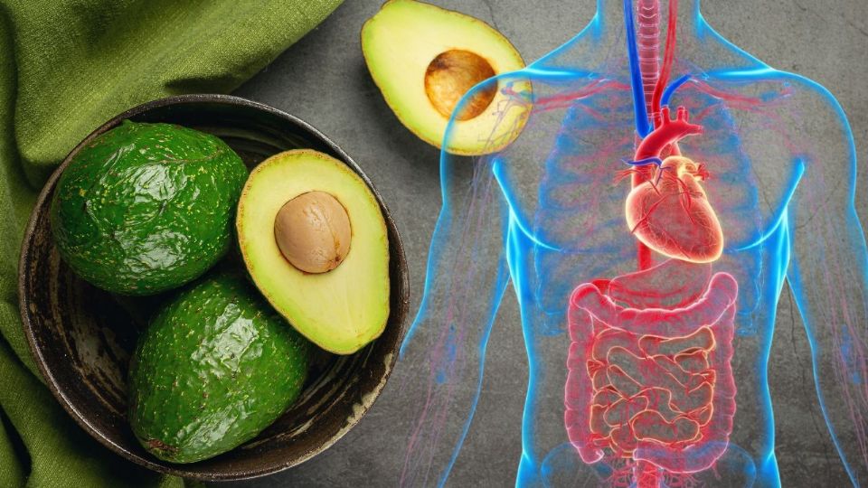 El aguacate es un superalimento para cuidar el corazón y la digestión