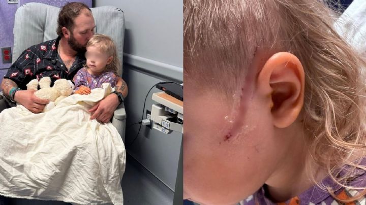 Caso Waltmart: niño de 3 años brutalmente apuñalado sobrevive a las heridas y sale de cirugía