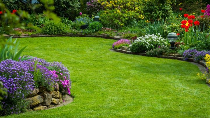 ¿Tienes un jardín cuidado?; Distrito 1 de Laredo abre concurso para promover el embellecimiento urbano