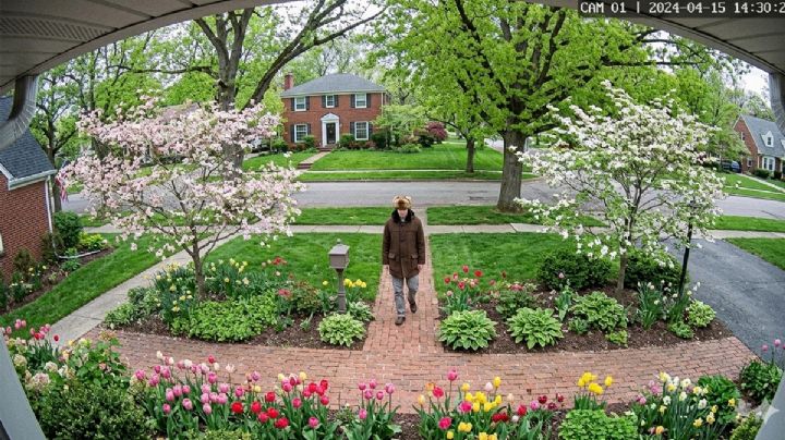 ¿Hasta dónde puedes entrar sin permiso en una propiedad privada en Texas?; la ley permite lo impensable