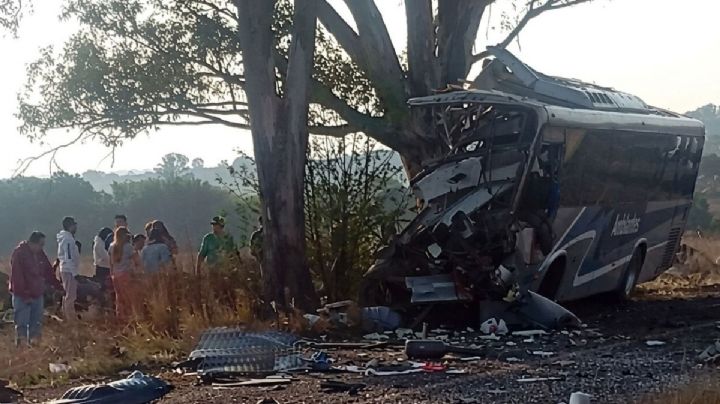 Accidente fatal: 9 muertos y múltiples heridos tras el choque de un autobús contra un árbol en Querétaro | VIDEO