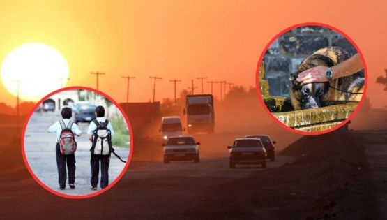 Ola de calor en México 2026: así puedes proteger a niños y mascotas de las temperaturas extremas