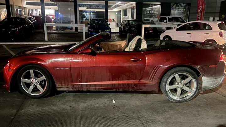 Iban jugando 'picas' a máxima velocidad en la avenida Reforma a bordo de sus Camaros y mujer se estrella contra un poste