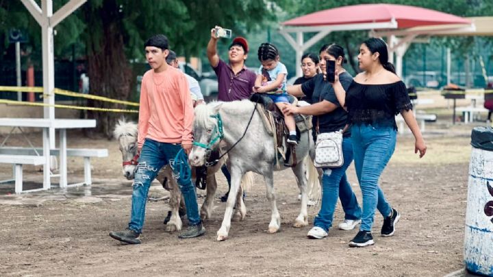 Saldo blanco deja la 'Coneja mojada' 2026; lluvias ayudaron a que no hubiera incidentes
