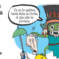 El Cartón de Adrián: Coneja mojada