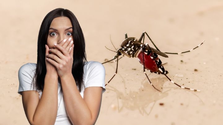 Alertan por aumento de dengue con lluvias y calor; piden eliminar agua estancada en casas y patios