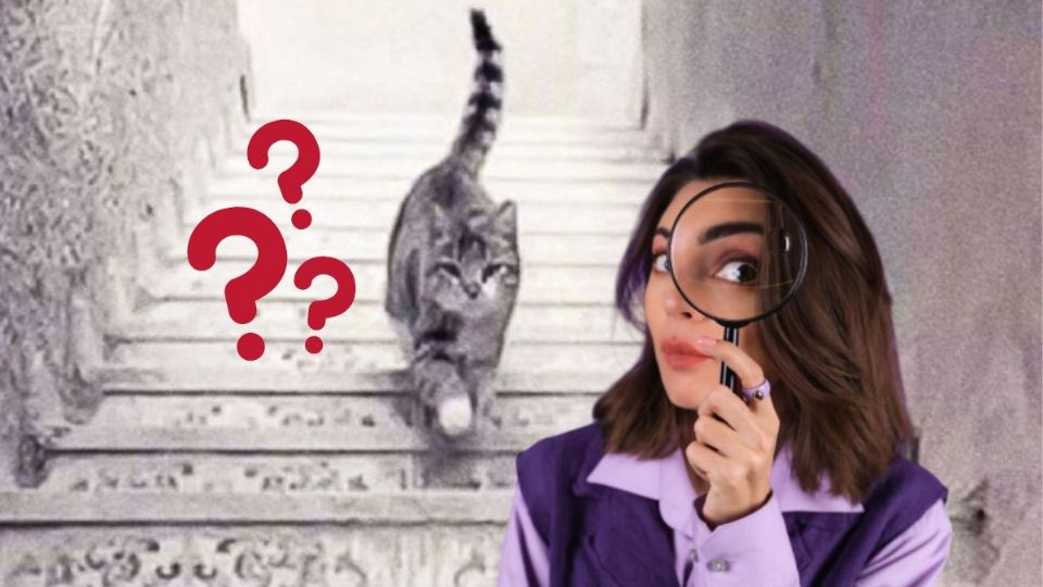 Este test psicológico se popularizó en las redes sociales. Foto: Freepik,redes