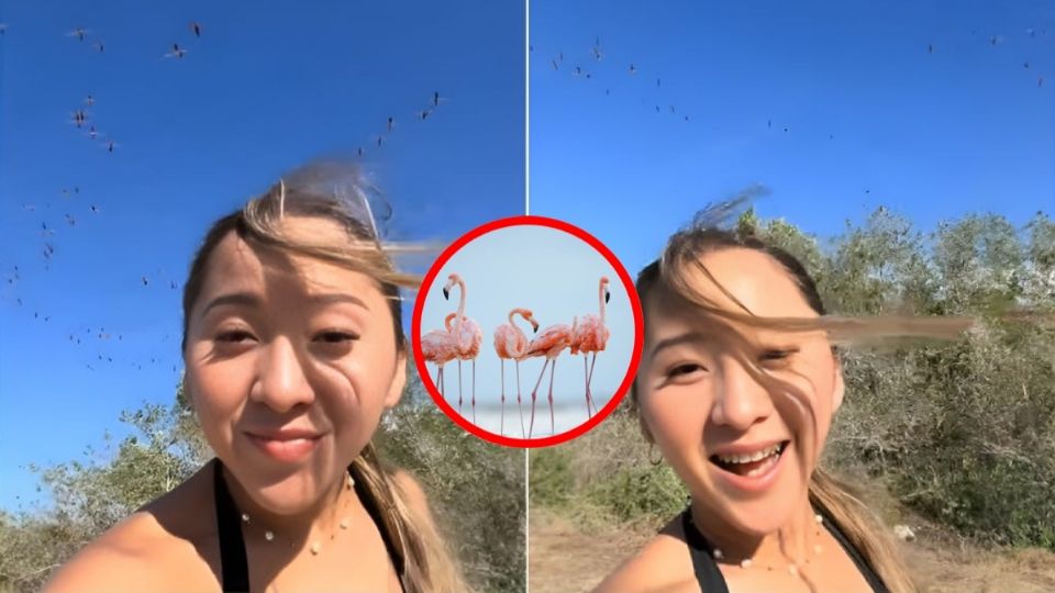 La joven argumentó como en el lugar había más turistas, desconociendo la regla de no poner música