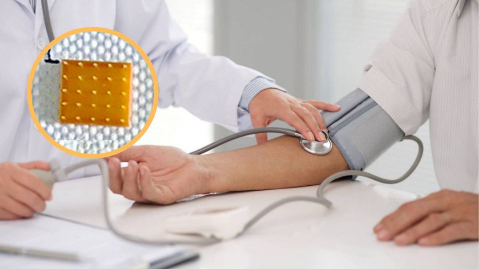 El proyecto forma parte de una iniciativa de investigación de la UNAM.