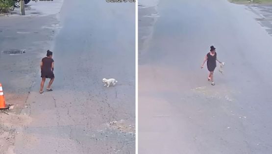 Captan a mujer golpeando y fracturando a un cachorro; fue arrestada | VIDEO
